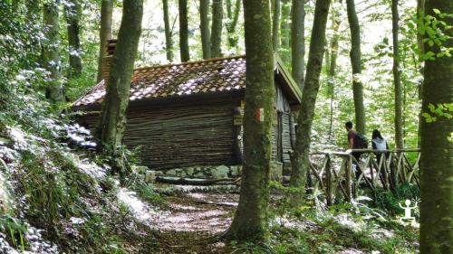 group excursion in the woods of Matese to reach the most evocative panoramic points in Campania