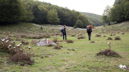 trekking path suitable for everyone to do on mount Orso and on the piano of pianellone in the regional park of matese in Campania