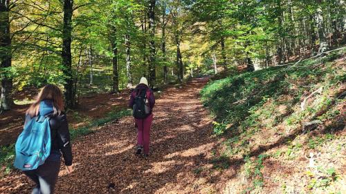 trekking for nature lovers near caserta and napoli in the matese regional park in campania