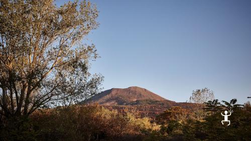 Gift a food and wine experience at a winery on the slopes of Vesuvius in Campania, Italy