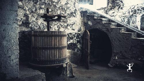 Ancient grape press for authentic experience in Campania