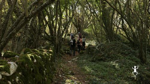 Give an experience in the nature in the Matese Regional Park in Campania