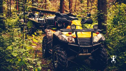 Adrenaline experience in Campania with quad bikes among forests and mountains