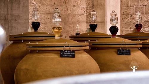 Winery tasting experience to learn about amphora wine fermentation in the Caserta region of Campania, Italy