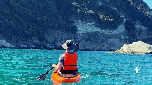 Kayak tour experience among the waters of Ischia, Campania