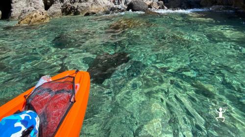 Excursion experience in Campania from the island of Maronti to Ischia with life jacket