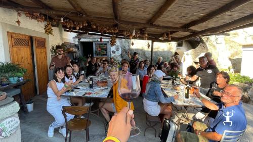 Esperienza con degustazione vino in una cantina a Serra Fontana sull'Isola di Ischia