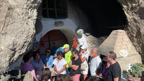 Tour della cantina con spiegazione sulla produzione e lavorazione del vino