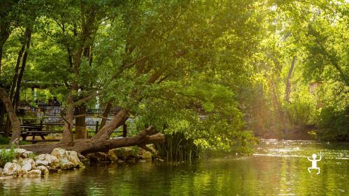 Rio Grassano and its verdant flora with hygrophore plants