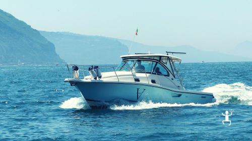 Sport fishing experience aboard a boat in the waters of Sorrento in Campania