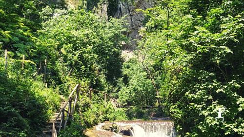 <p><p>Excursion with certified environmental guide to the Ferriere nature park in Pontone</p></p>