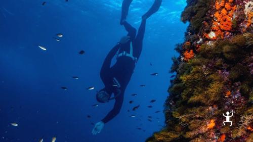 <p><p>Snorkelling experience in Campania at Jeranto Bay, with certified Apnea Academy instructor</p></p>