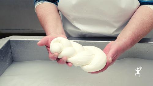 Hands-on experience producing mozzarella, provolone, butter and artisanal dairy products on the Sorrento Peninsula in Campania, Italy