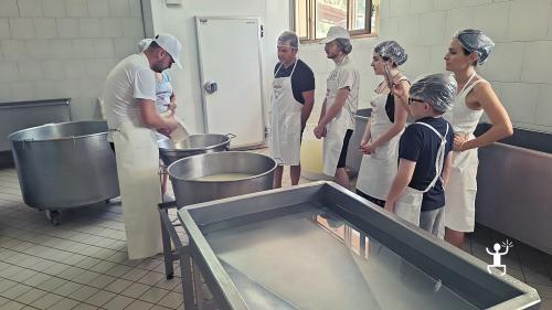 Mozzarella experience for groups and team building with tasting session in Campania, Vico Equense