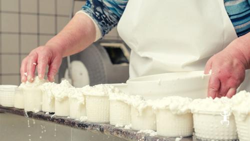 Types of cheeses made at the small artisan farm during guided tour with cheese production in Vico Equense, Campania 