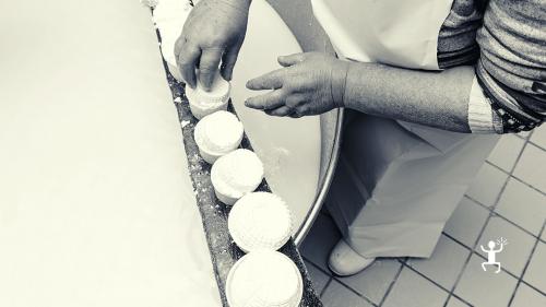 Guided tasting with producers of mozzarella fior di latte and typical cheeses from the Sorrento Peninsula in Campania, Italy