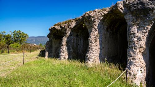 Guided tour and museum visit of Avella in Irpinia for couples experience in Campania