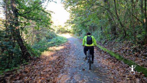 Electric bike tour through the trails of Campania for family experience