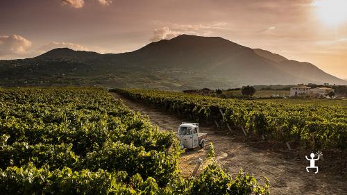 Sanniti wine tasting experience in the province of Benevento Italy