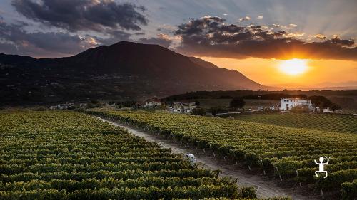 Team building activities in campania with wine tasting